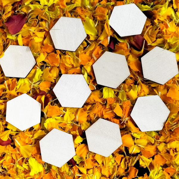 Wooden Hexagons: mini bee play, sensory play, small world