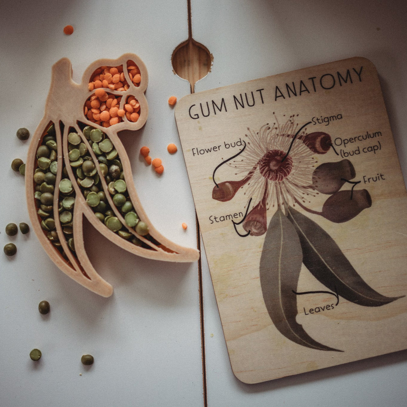 Gumnut Eco Cutter