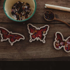 Butterfly Eco Cutter Set
