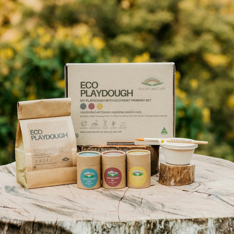 Eco Playdough DIY Set