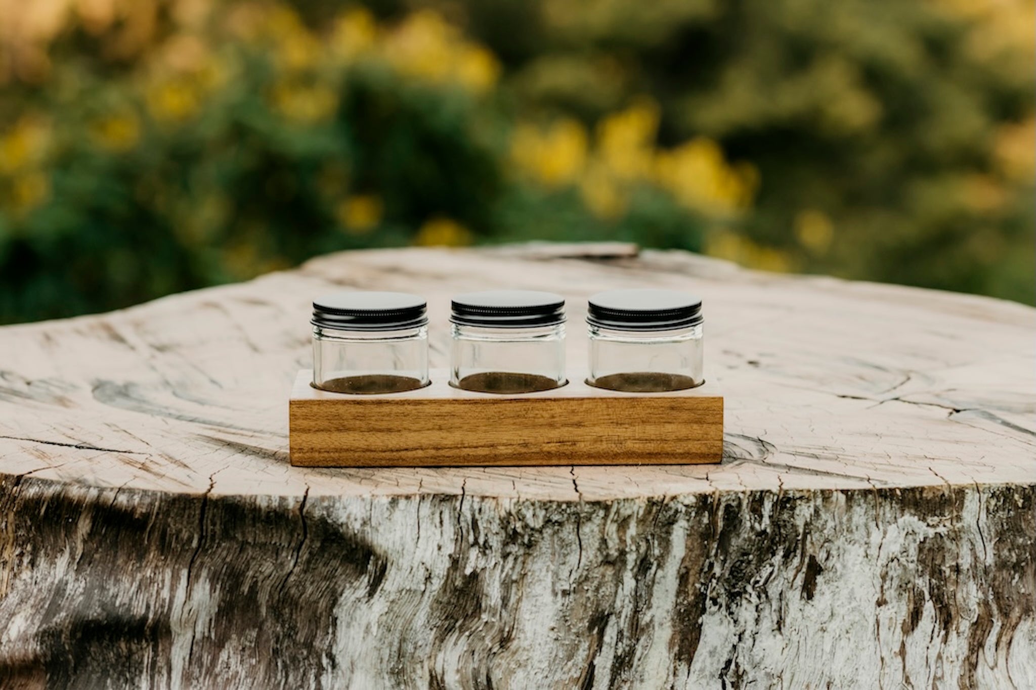 Acacia Wood Paint Holder