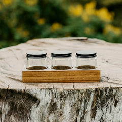 Acacia Wood Paint Holder