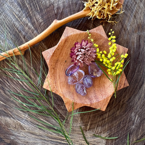 Sunshine Dish