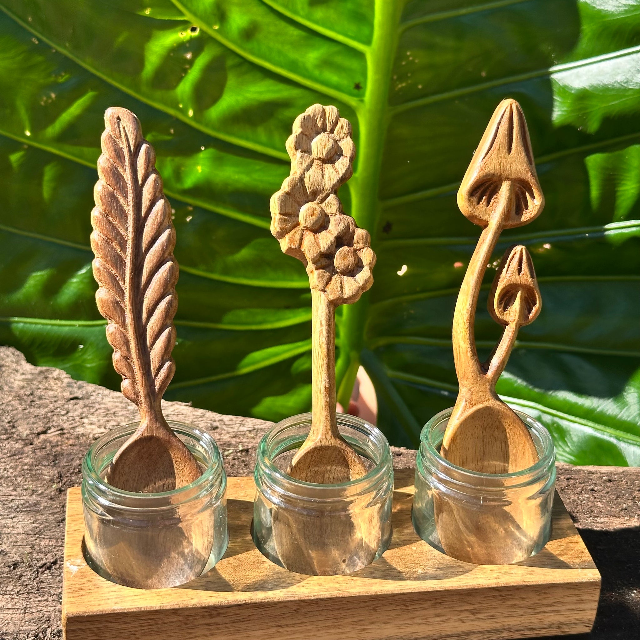 Acacia Wood Paint Holder