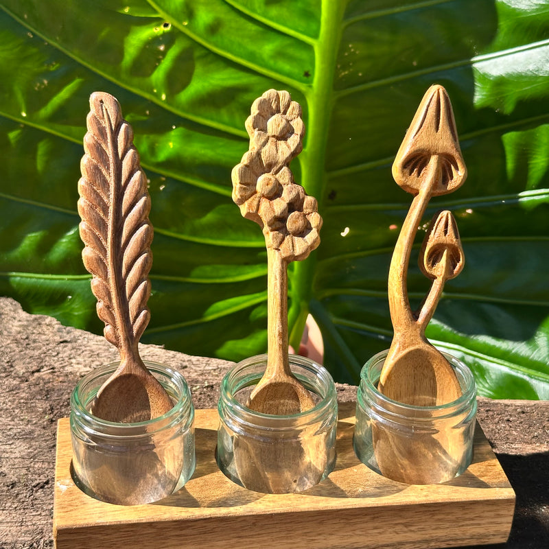 Acacia Wood Paint Holder