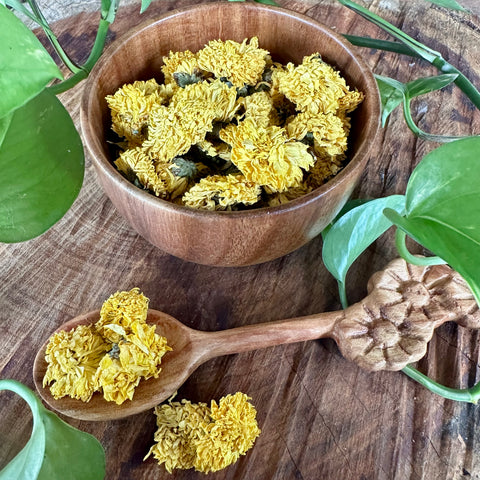 Chrysanthemum
