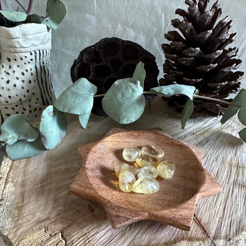 Sunshine Dish