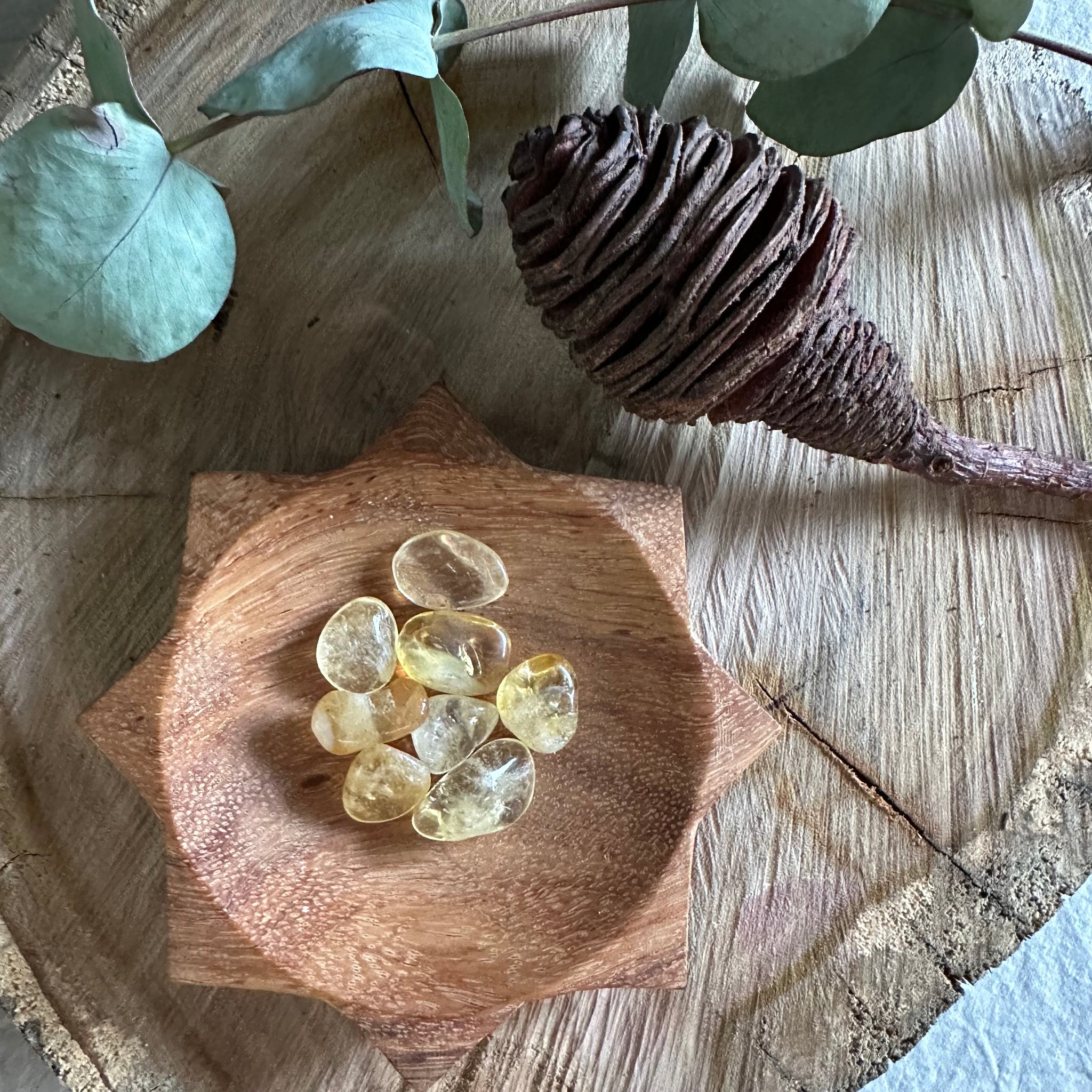Sunshine Dish