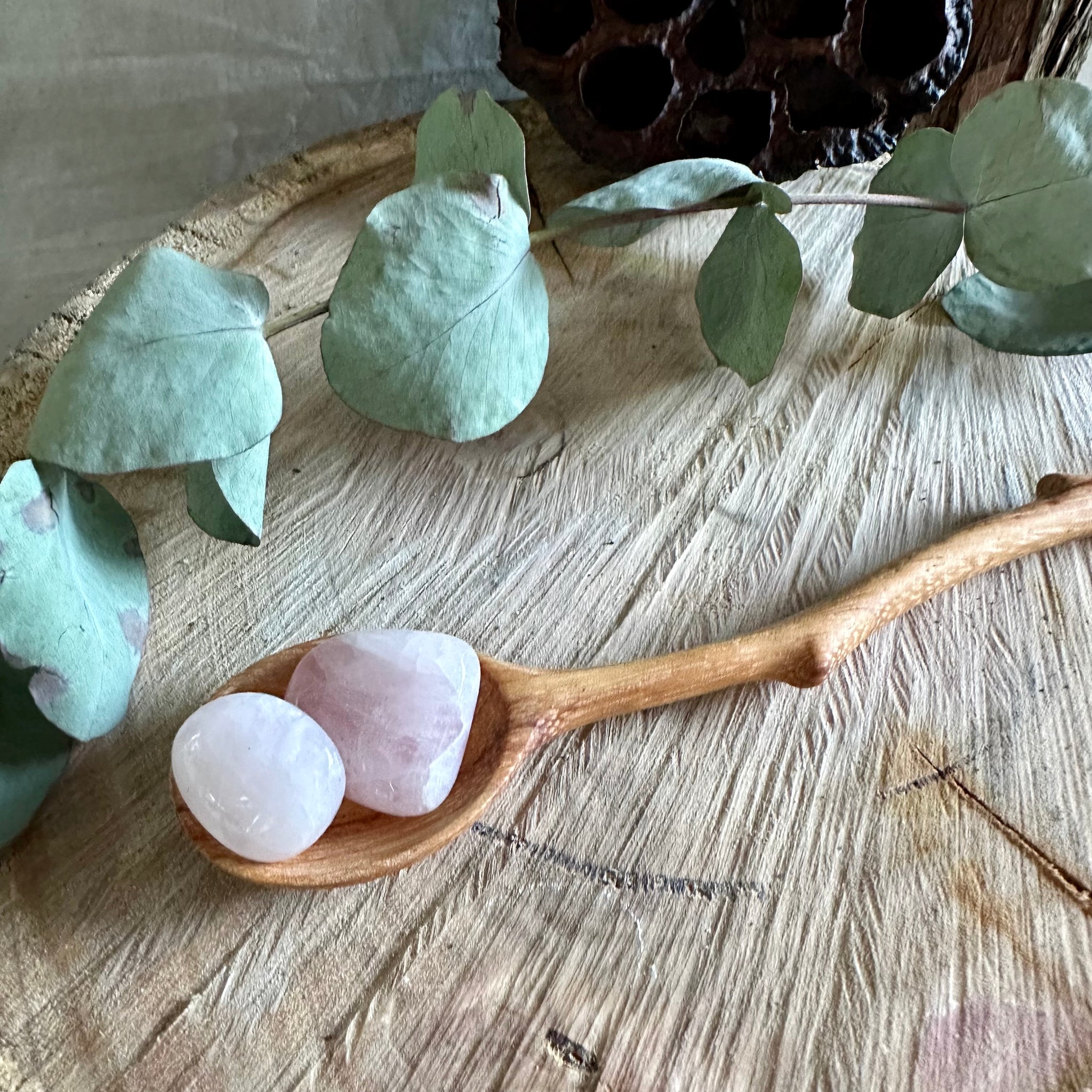 Twig Spoon