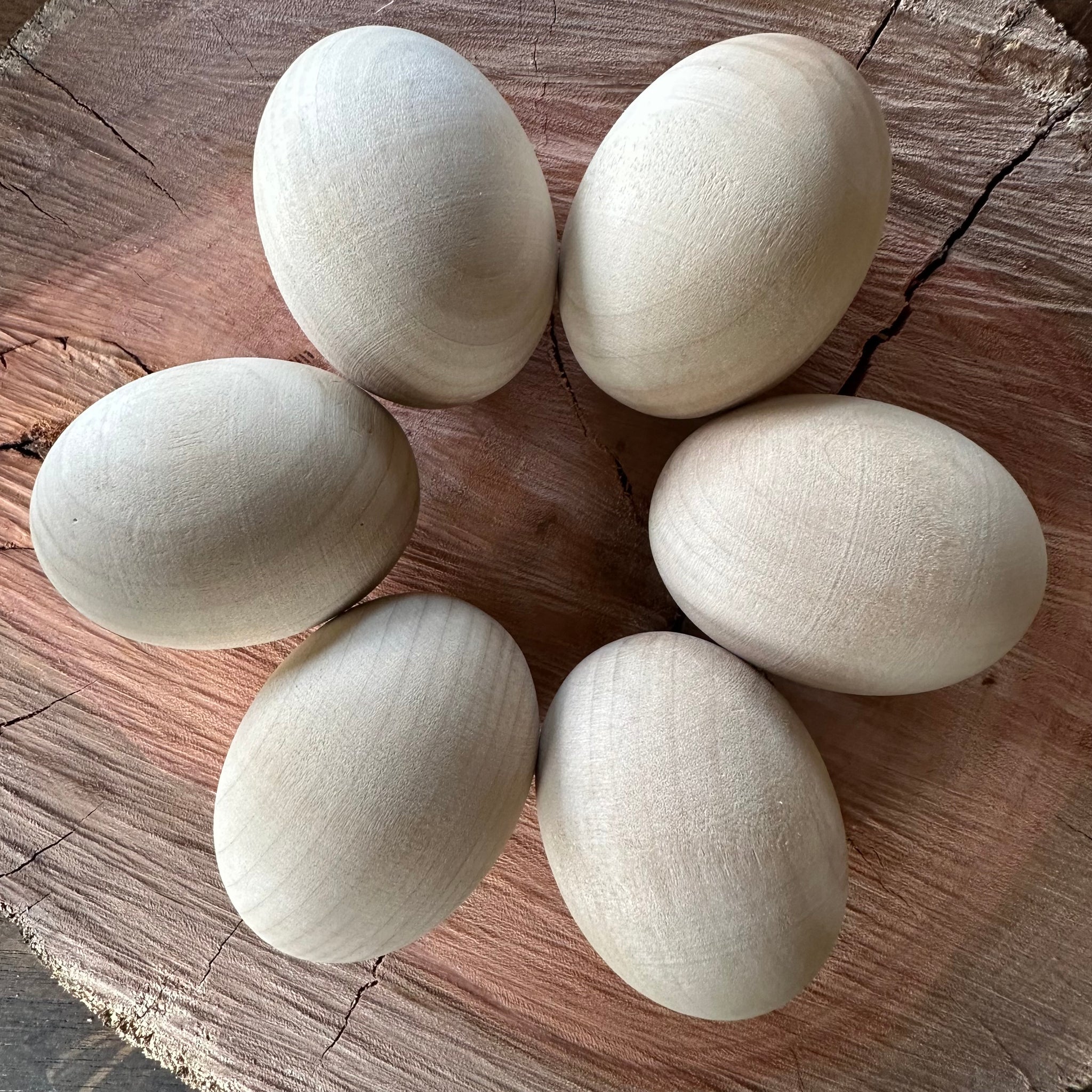 Wooden Eggs in Cardboard Egg Carton