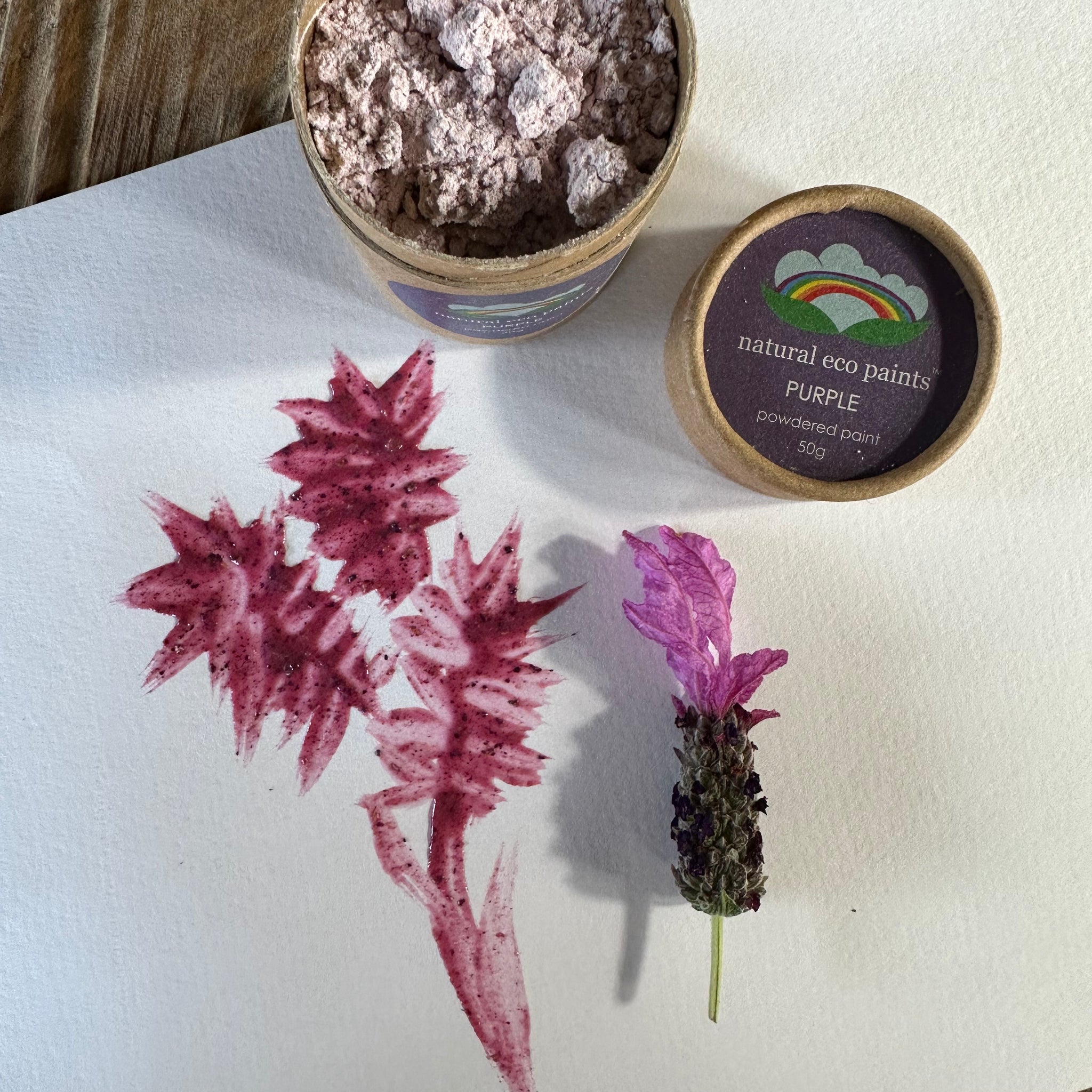 Purple Eco Paint