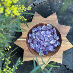 Dreamkeeper Amethyst
