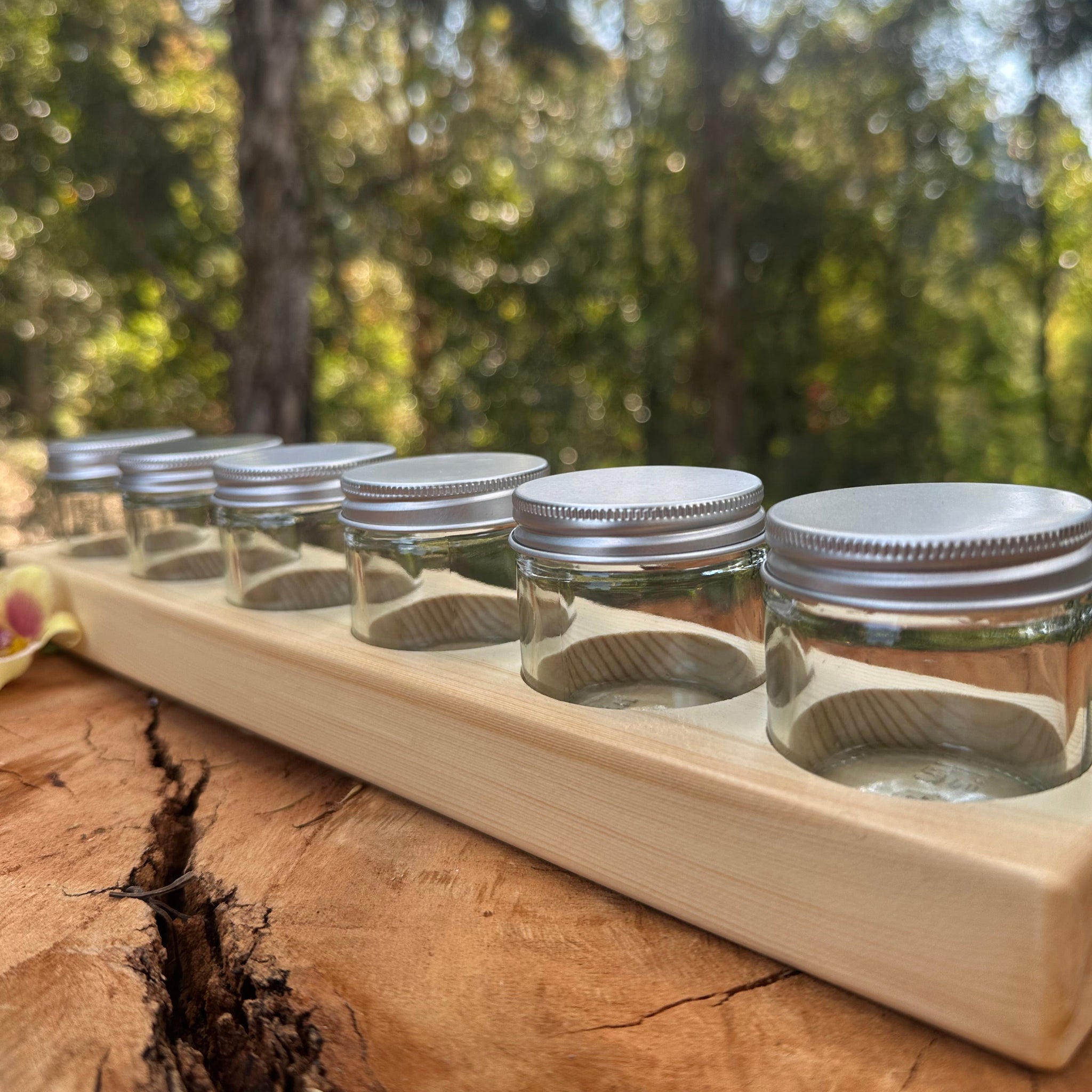 Timber Paint Holder Set (Includes 6 Jars)