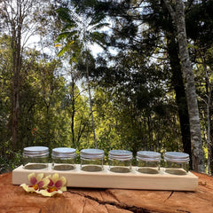 Timber Paint Holder Set (Includes 6 Jars)