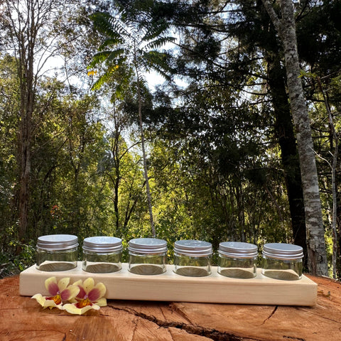 Timber Paint Holder Set (Includes 6 Jars)