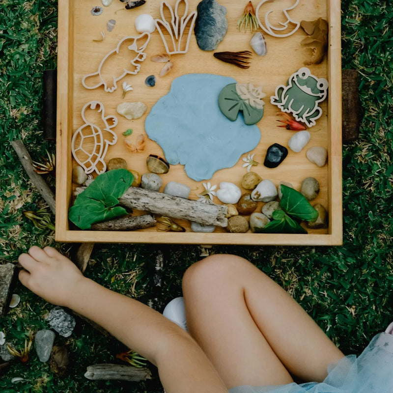 Pond Life Eco Cutter Set