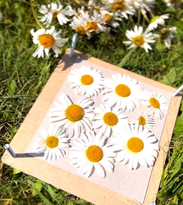 Flower Press - Nature Craft: Eco Art and Craft