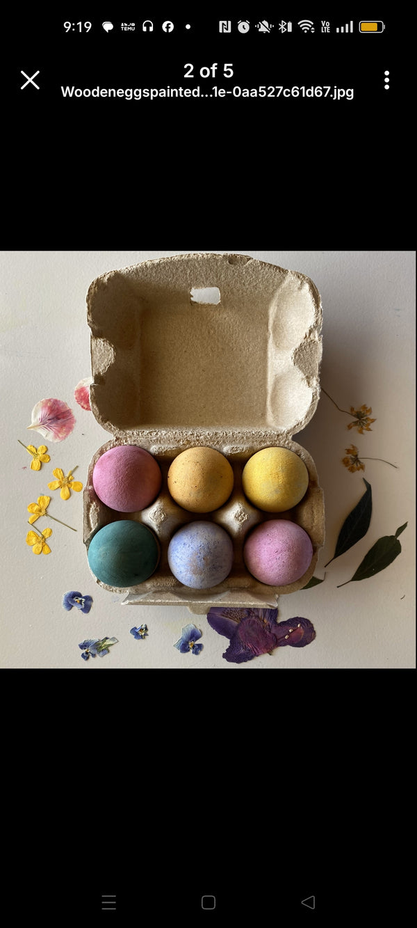 Wooden Eggs - carton of 6 for art, craft and play