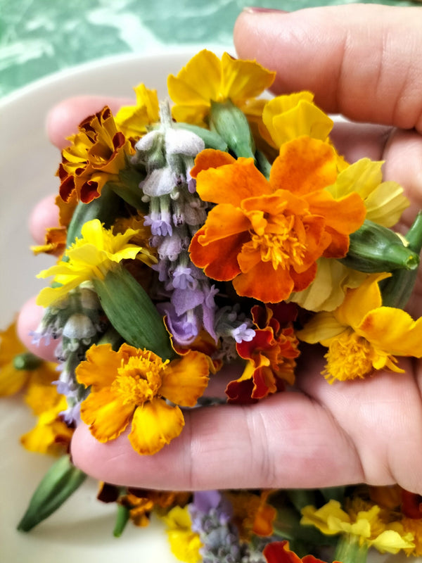 Dried Flowers: Nature Confetti for art, craft and sensory play