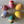 Load image into Gallery viewer, Solid Wooden Eggs: paint, colour, decorate, hunt and play
